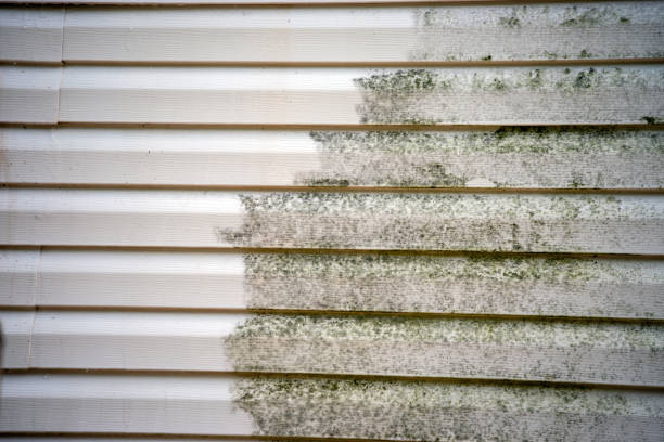 Best Mattress Disposal  in Evansville, WY